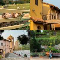 7 จุดเช็คอินที่เขาใหญ่ 🌳