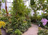【知的好奇心がくすぐられる】ウニヴェルシテート・チューリッヒ植物園 🌿🔬
