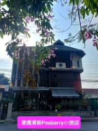 清邁清新Peaberry小旅店
