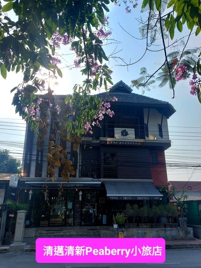 清邁清新Peaberry小旅店