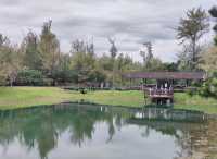 #臺東森林公園-臺東縣臺東市