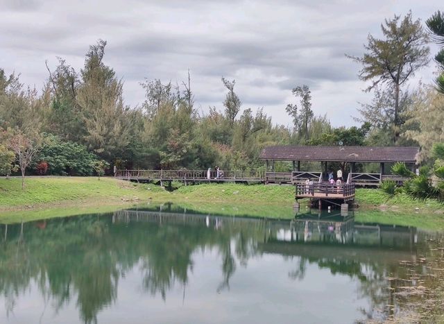 #臺東森林公園-臺東縣臺東市