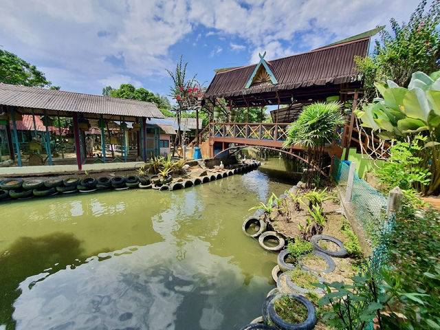✨ Kota Tinggi Firefly Valley: A Solo Traveller’s Dazzling Night Escape