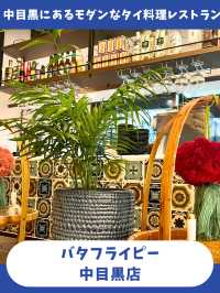 【東京女子旅】東南アジア元在住が選ぶ、本格派タイ料理三選！