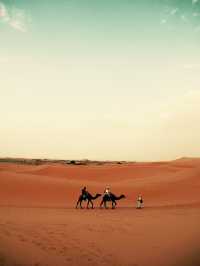サハラ砂漠🏜️ ラクダに乗ろう〜🐫🏜️💕🇲🇦