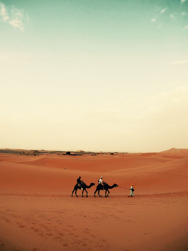 サハラ砂漠🏜️ ラクダに乗ろう〜🐫🏜️💕🇲🇦