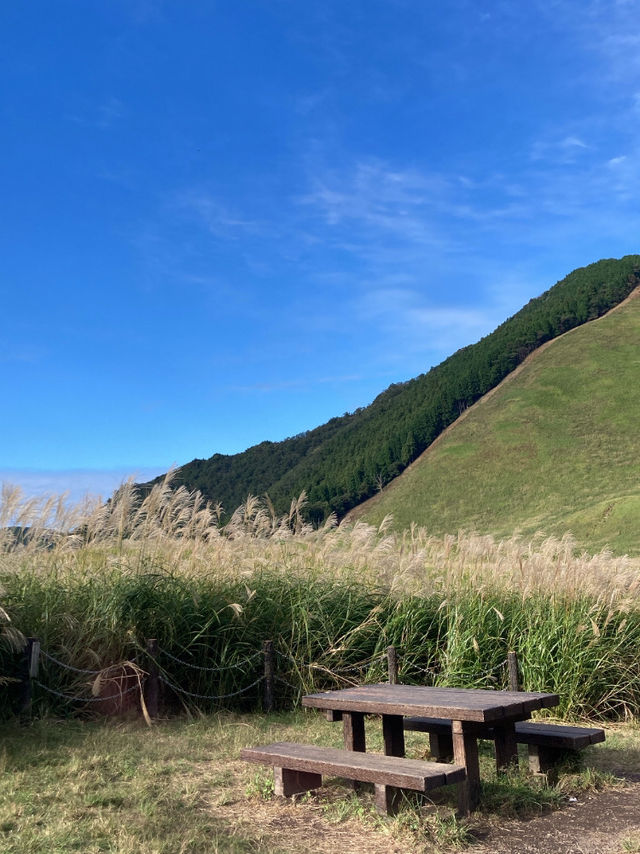 【奈良県】ススキが見れる自然スポット🎑