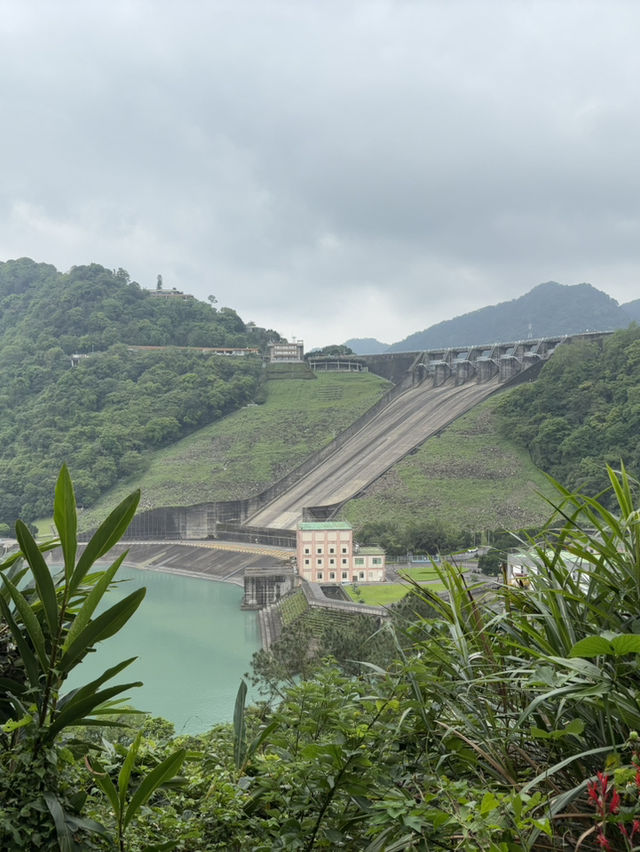 桃園石門水庫 槭林公園吸收芬多精～綠蔭蔥蔥 欣賞湖光山色