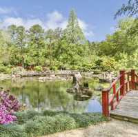 Peaceful Green Escapes to Explore in Birmingham 