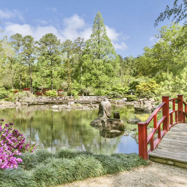 Peaceful Green Escapes to Explore in Birmingham 