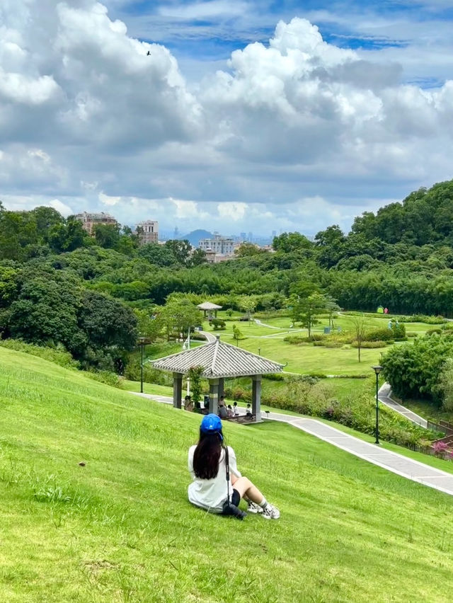 從生態冒險中挑戰🥰深圳行程攻略❤️‍🔥