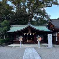 🇯🇵【愛媛県】伊豫豆比古命神社（別称:椿神社）！