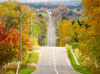 🎢 A spectacular drive! Enjoy the exhilaration of the "Roller Coaster Road"