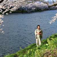 Hirosaki Park in Aomori Prefecture is one of the most breathtaking places