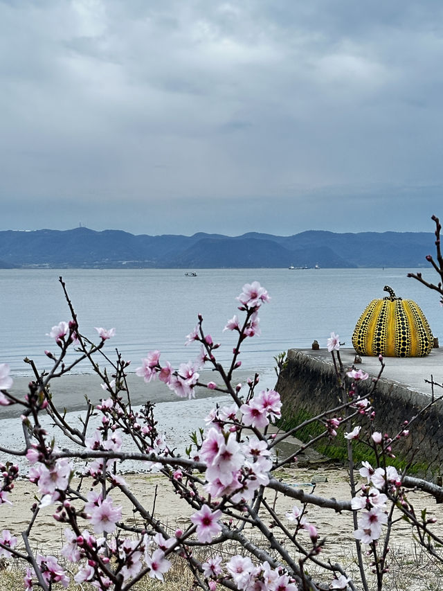 瀨戶內海的藝術巡禮-直島/豊島