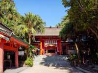 Aoshima Island Adventure: Japan’s Purr-fect Cat Paradise