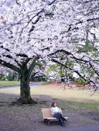 Shinjuku Gyoen National Garden - spring memory
