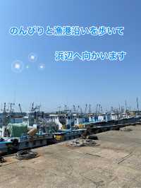 篠島で自然と海を満喫！