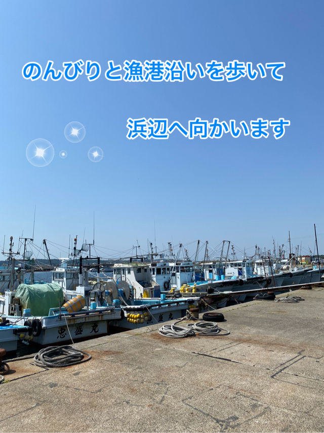 篠島で自然と海を満喫！