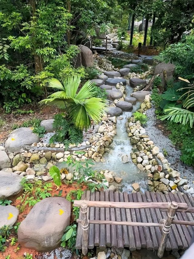 Rainforest Wild Asia – A Hidden Gem for Nature Enthusiasts