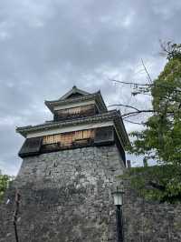綠映幽雅，一起漫步熊本城腳下！