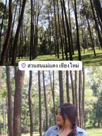 แพลนเที่ยวแม่แตง 1 วัน 