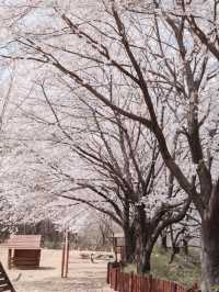 A Peaceful Solo Hike to Gyejoksan Fortress from Jangdongsan Forest Park