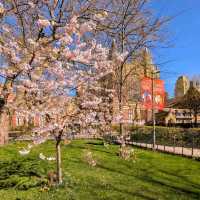 Leeds: A City That Blends History, Culture, and Modern Vibes Perfectly