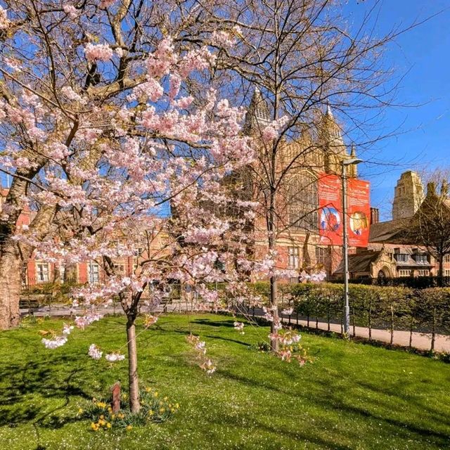 Leeds: A City That Blends History, Culture, and Modern Vibes Perfectly