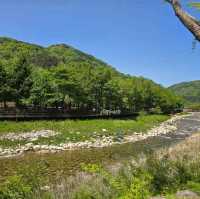 Mungyeong Saejae Provincial Park (Mungyeong)