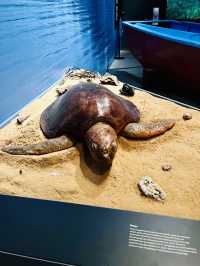 “In Harmony with Nature”: Borneo Cultures Museum’s Tribute to Indigenous Wisdom