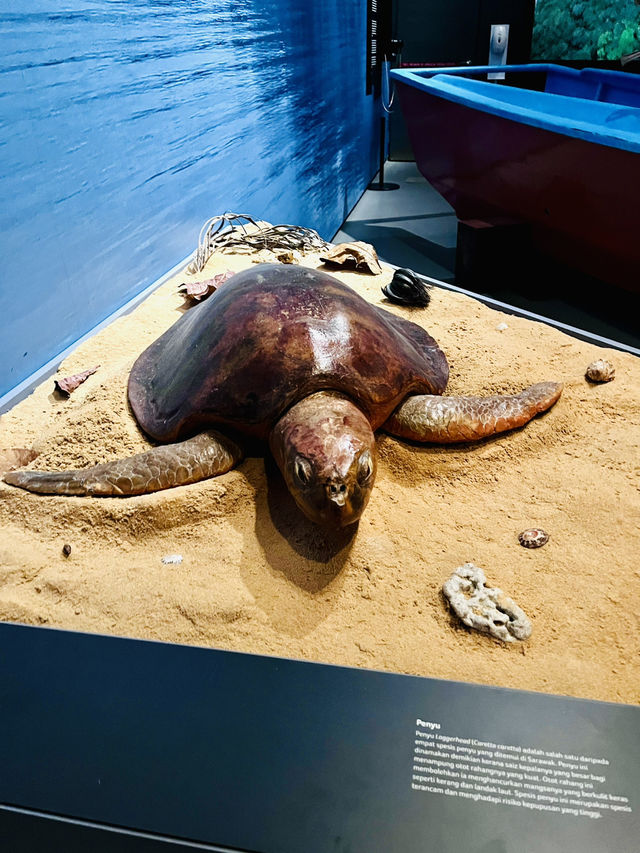 “In Harmony with Nature”: Borneo Cultures Museum’s Tribute to Indigenous Wisdom