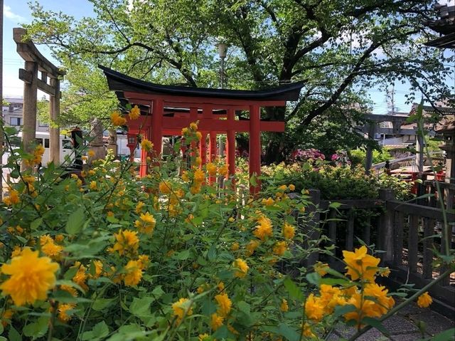 A Quiet, Hidden Gem in Kyoto