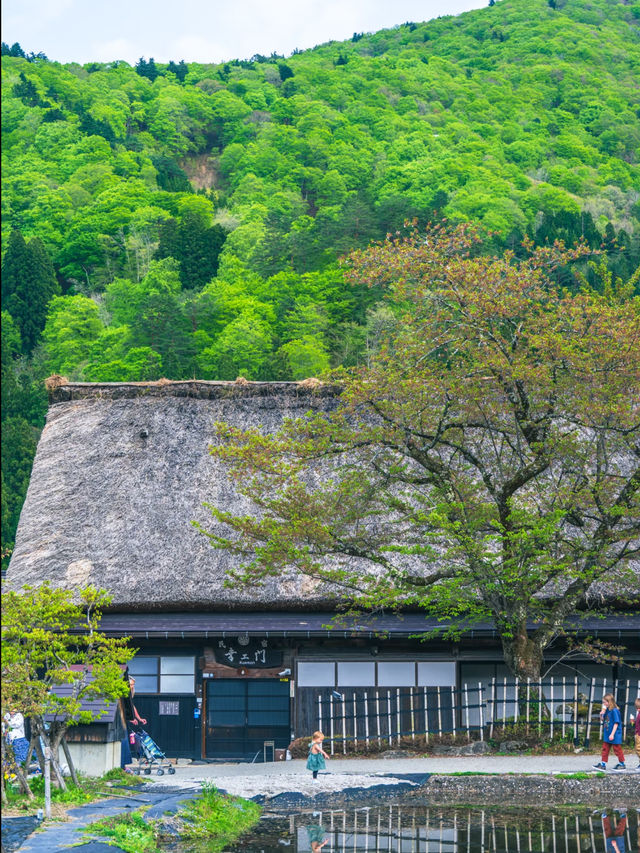 Is Shirakawa-go’s spring scenery inferior to its winter charm? ❄️🌸