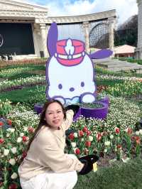 Sanrio Spring Event at Everland Amusement Park South Korea