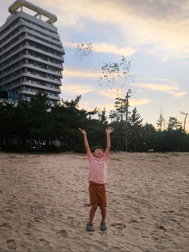 아이와강릉호캉스[강릉 세인트존스호텔]