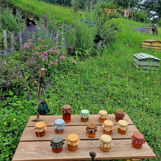 Pure Magic at Hobbiton – A Journey Worth Taking