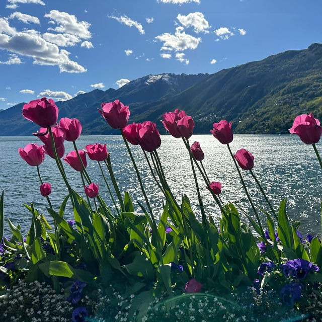 Weekend Escape to Ascona: Switzerland's Sunny Lakeside Paradise!** 🌞🌊  