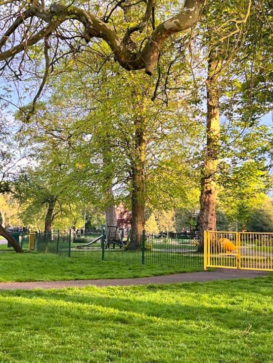 Alexandra Park
