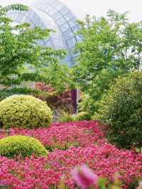 🌸 Hidden Gem at the Shanghai Botanical Garden 🌿