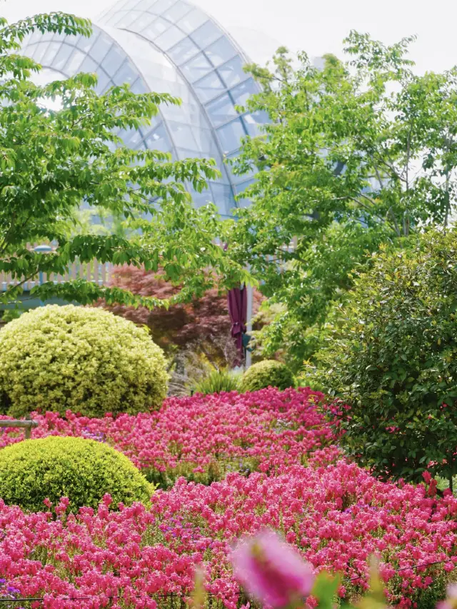 🌸 Hidden Gem at the Shanghai Botanical Garden 🌿
