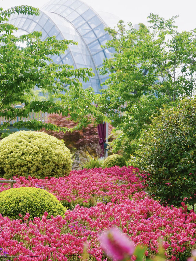🌸 Hidden Gem at the Shanghai Botanical Garden 🌿