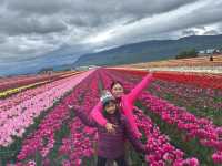 Our Abbotsford Tulip Escape: A Burst of Color