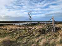🌿 Rhyll Inlet Weekend Escape: 2 Days of Nature & Relaxation