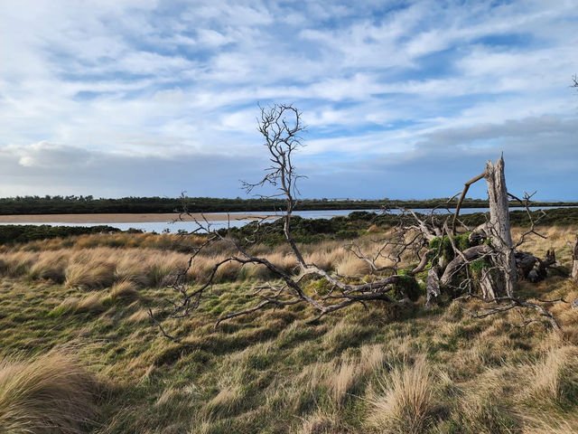 🌿 Rhyll Inlet Weekend Escape: 2 Days of Nature & Relaxation