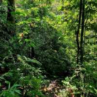 Hidden Gem Vibes at Tolungan Daralamas Canyon