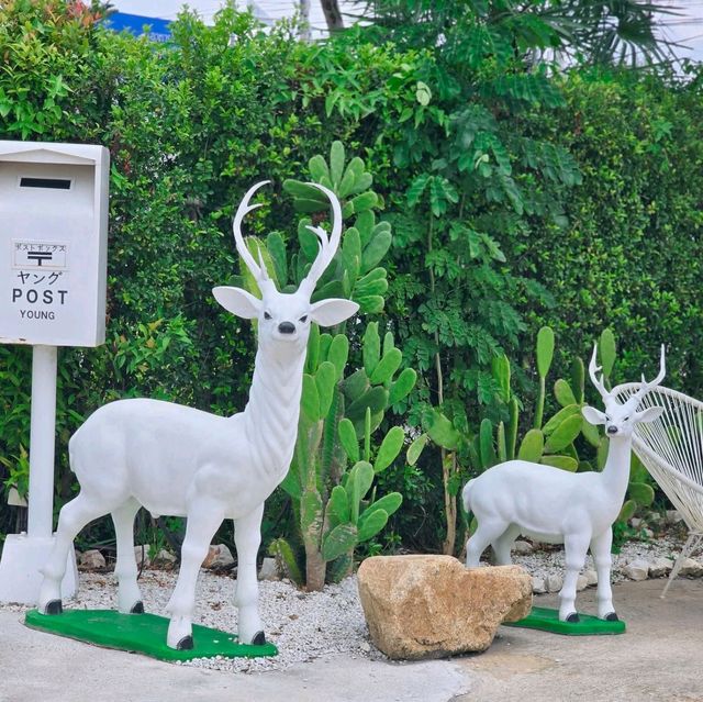 คาเฟ่สวยเมืองฉะเชิงเทรา