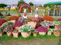 Explore Floral Fantasy: A Taichung Getaway at Zhongshe Flower Market