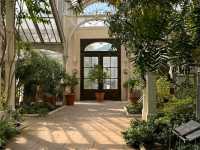 Kew Royal Botanic Gardens – A Golden Autumn Escape in London