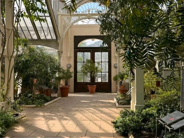 Kew Royal Botanic Gardens – A Golden Autumn Escape in London